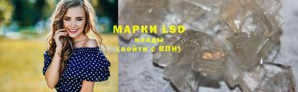 прущие грибы Абдулино