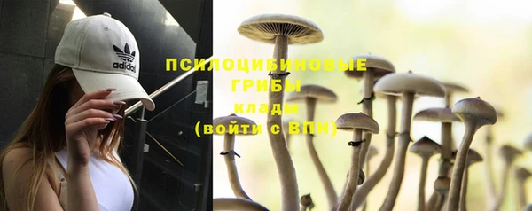 прущие грибы Абдулино