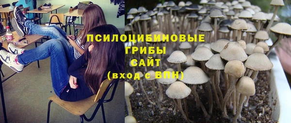 прущие грибы Абдулино
