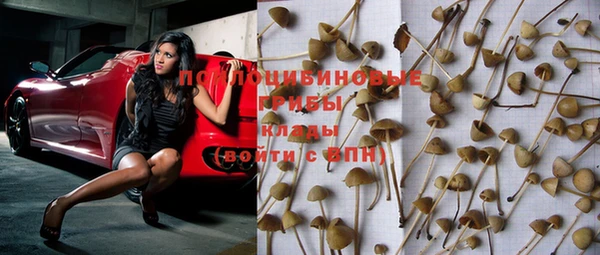 прущие грибы Абдулино