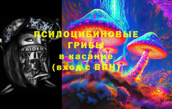 прущие грибы Абдулино